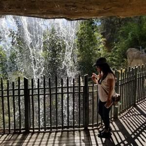 Meet your Posher, Noemy